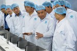Thủ tướng thăm cơ sở sản xuất tôm có “giấc mơ” 2 tỷ USD