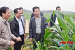 Chủ tịch UBND tỉnh kiểm tra sản xuất, phát động Tết trồng cây ở Hương Khê