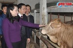 80.498 hộ nông dân Hà Tĩnh vay 3.083 tỷ phát triển sản xuất, kinh doanh