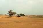 Lý giải mới gây sốc về việc Sahara biến thành sa mạc