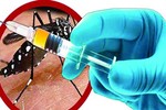 WHO phê chuẩn vắc-xin sốt xuất huyết đầu tiên trên thế giới