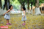 [Photo] Hà Nội đẹp dịu dàng và thơ mộng trong khoảnh khắc giao mùa