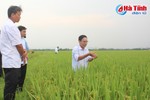 Cẩm Xuyên triển khai nhiều mô hình nông nghiệp chất lượng cao