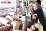 "Giải cứu" chăn nuôi: Bắt tay hạ giá thành sản xuất ở mức thấp nhất!