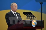 Ông Putin cảnh báo nguy cơ việc các chính phủ tạo ra công cụ tin tặc
