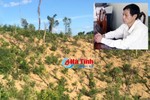 Vụ chặt phá rừng tại Hương Khê: Những “lỗ hổng” trong quá trình tố tụng !