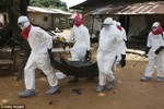 Tổ chức Y tế thế giới công bố đại dịch Ebola đã quay trở lại