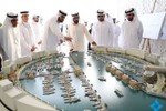 Tiểu vương tỷ phú thay đổi vận mệnh Dubai