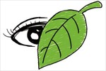 Bài Văn điểm 10 thi đại học: “Thành tích như chiếc lá, đừng để lá che mắt…”