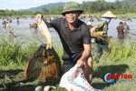 Độc đáo lễ hội đánh cá Đồng Hoa