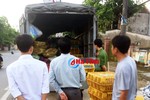 Bắt xe tải chở 100 con gà "trôi nổi" từ Nghệ An vào Hương Khê tiêu thụ