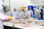 Nhật Bản chính thức đồng ý nhập khẩu thịt gà Việt Nam
