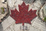 [Video] Người Canada xếp lá phong khổng lồ nhân 150 năm quốc khánh
