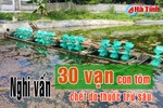 Cần sớm làm rõ nghi vấn dùng thuốc trừ sâu "diệt" hồ tôm ở Lộc Hà!