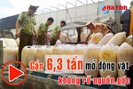 Bắt xe tải chở gần 6,3 tấn mỡ động vật không rõ nguồn gốc xuyên Việt