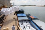 Doanh nghiệp Việt trúng thầu cung cấp 175.000 tấn gạo cho Philippines