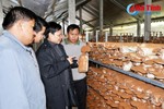 Hà Tĩnh giúp đỡ Bô-ly-khăm-xay sản xuất nấm và nuôi hươu
