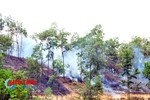 Cháy rừng thông 10 năm tuổi ở Hương Sơn