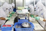 Thủy sản Nam Hà Tĩnh dự kiến đạt hơn 5,5 triệu USD kim ngạch xuất khẩu