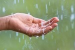 Ai có thói quen uống nước mưa mà không biết điều này, coi chừng rước bệnh vào người