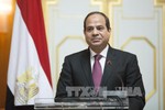Tổng thống Ai Cập bắt đầu chuyến thăm lịch sử tới Việt Nam