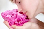 7 lợi ích sức khỏe và sắc đẹp từ hoa hồng