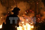 Thêm nhiều nạn nhân thiệt mạng trong thảm hỏa cháy rừng ở Mỹ