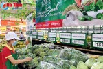 Thị trường thực phẩm hữu cơ ở Hà Tĩnh: Thật giả lẫn lộn!