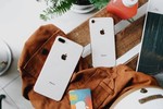 iPhone 8, 8 Plus dành cho thị trường Việt Nam chính thức bán từ 10/11