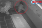 Video: “Siêu trộm” đột nhập "khoắng" tivi 52 inch ở trung tâm Anh ngữ Hà Tĩnh