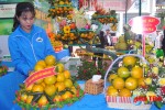Rộn ràng đón Lễ hội Cam và các sản phẩm nông nghiệp Hà Tĩnh