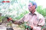 Video: Thời tiết "đỏng đảnh", người trồng đào mất ăn, mất ngủ