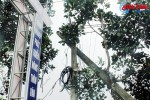 Tết đến nơi, nhiều xã ở Hương Sơn vẫn lo mất an toàn lưới điện!