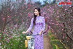 Nữ sinh Hà Tĩnh top 15 Hoa hậu Đại dương duyên dáng với áo dài đón Tết