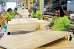 Hà Tĩnh đồng ý chủ trương đầu tư Nhà máy chế biến gỗ hơn 2.100 tỷ đồng tại KKT Vũng Áng