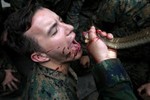 Quân nhân uống máu rắn hổ mang để tập sinh tồn trong rừng rậm
