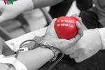 Những lợi ích ít ai biết khi hiến máu nhân đạo