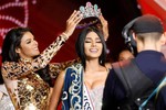 Cuộc thi Hoa hậu Venezuela bị đình chỉ sau loạt cáo buộc tình dục