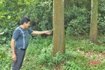 Tranh chấp đất rừng ở Vũ Quang: Quyền lợi hợp pháp thuộc về ông Lê Sỹ Nghĩa?