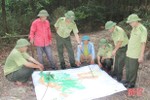 Phòng chống cháy rừng ở Hương Khê: Phòng là chính