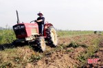 Các HTX dịch vụ nông nghiệp Nghi Xuân hoạt động hiệu quả