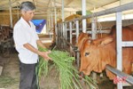 “Nở rộ” nhiều mô hình kinh tế từ quỹ hỗ trợ nông dân ở Hương Sơn