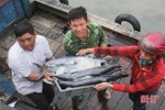 Hà Tĩnh: Sản lượng khai thác hải sản 5 tháng đạt hơn 12.000 tấn