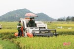 Đến năm 2020, Hà Tĩnh chuyển 2.254 ha đất lúa sang cây trồng khác