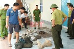 Bắt giữ 37 cá thể tê tê, ba ba, rùa trên xe khách từ Lào về qua Hà Tĩnh