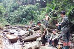 Nhiều cán bộ bảo vệ rừng Hà Tĩnh “nhảy việc”