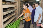 1.245 mô hình kinh tế nông dân Hương Sơn thu nhập trên 100 triệu đồng/năm