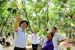 "Cú hích" lớn cho sản xuất cây ăn quả có múi ở Hà Tĩnh