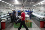 Bloomberg: Việt Nam tự bảo vệ mình trước chiến tranh thương mại Mỹ - Trung