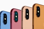 iPhone 2018 "giá rẻ" sẽ có nhiều màu, không có màu đỏ